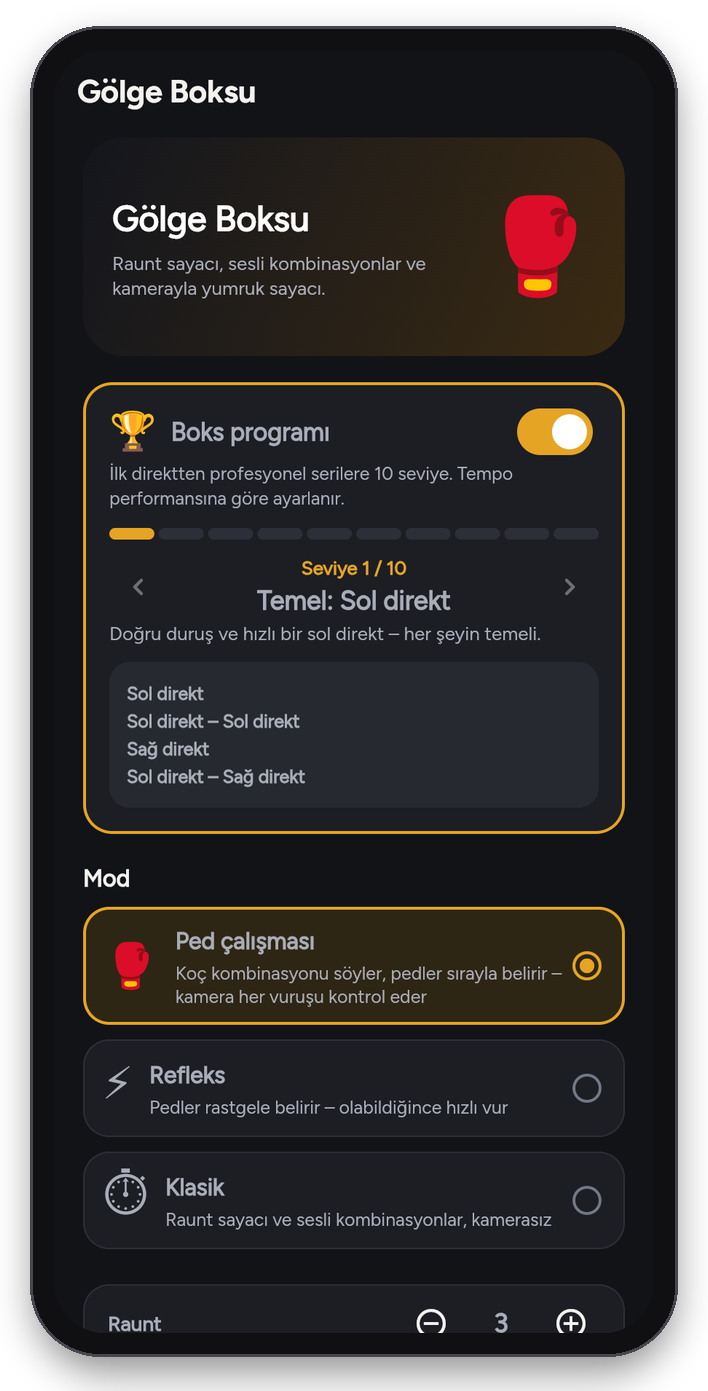 Gölge boksu: 10 seviyeli boks programı ve ped çalışması